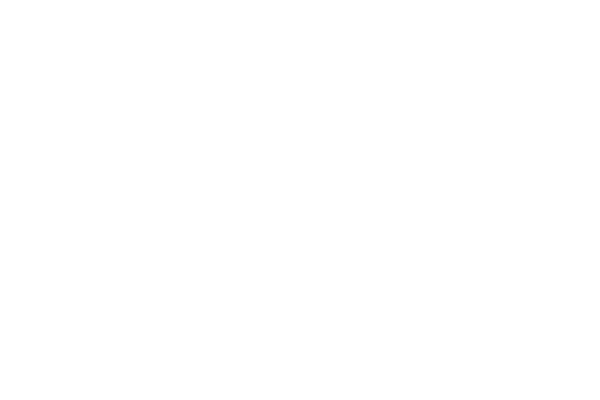 wildesinns-white-logo