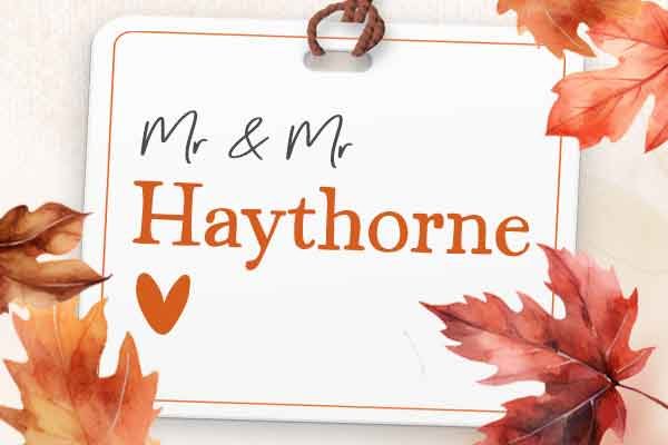 HAYTHORNEWEBICON