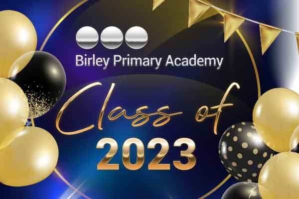 birleyacademy2023webicon