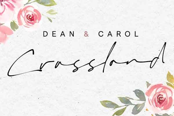 dean-carol-webicon