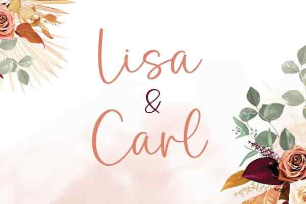 lisacarlwebicon