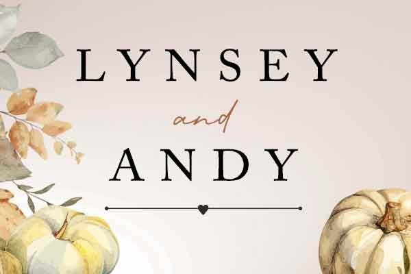 lynseyandywebicon