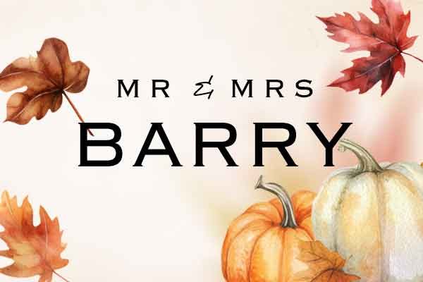 mr-mrs-barrywebicon