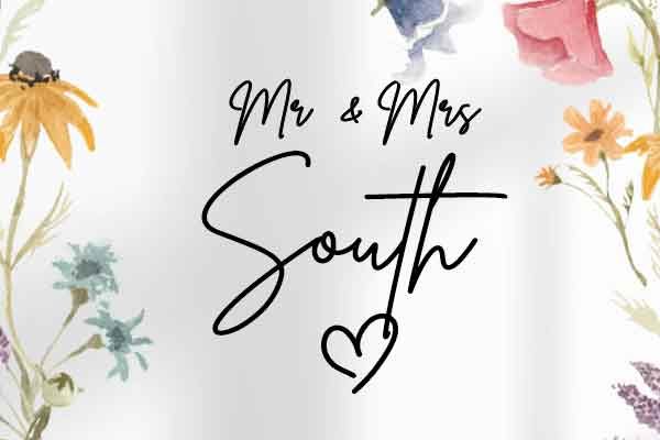 mr-mrs-south-webicon