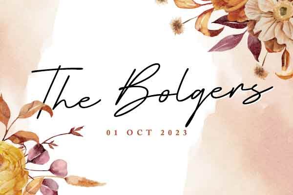the-bolgers-webicon